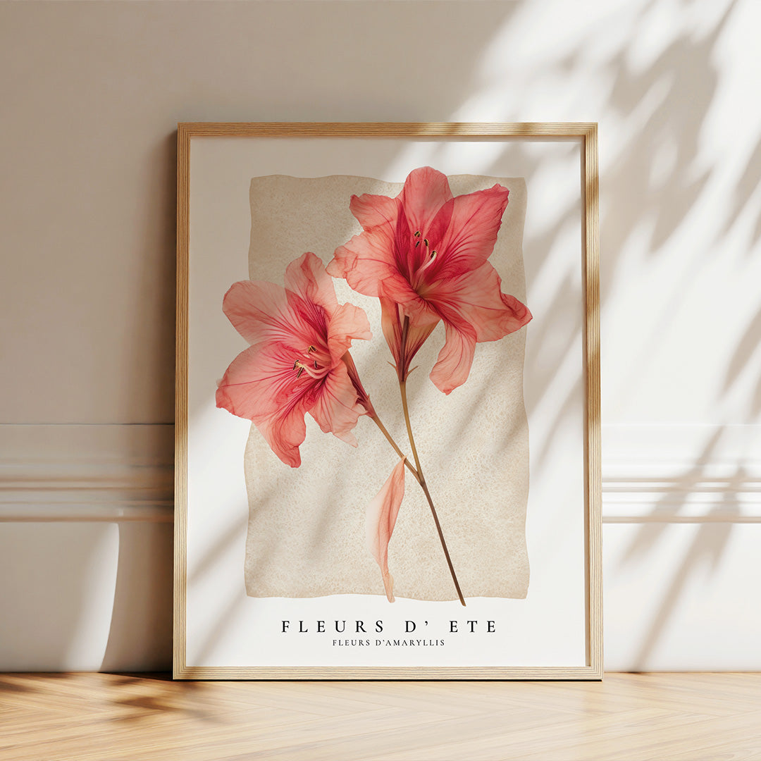 Amaryllis Summer Flowers (Fleurs d'ete)