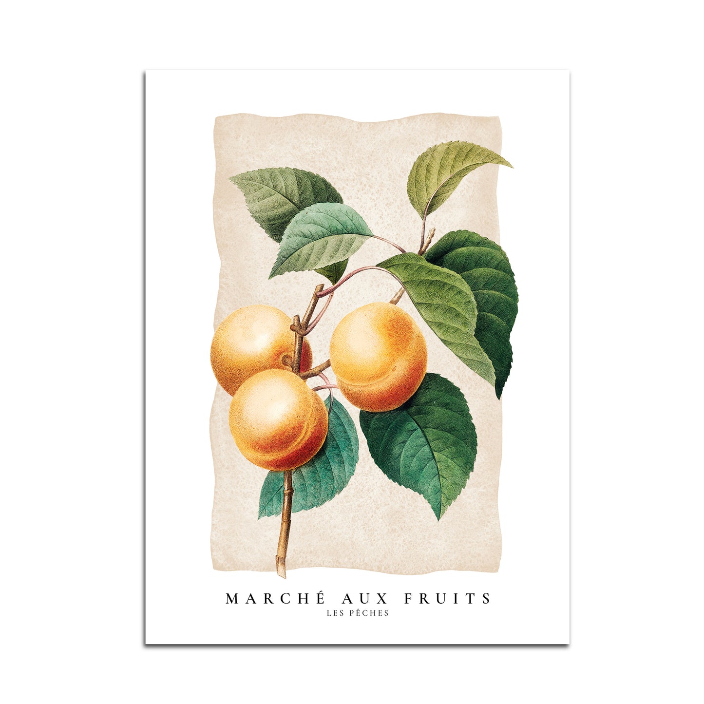 Marché aux Fruits - Les pêches