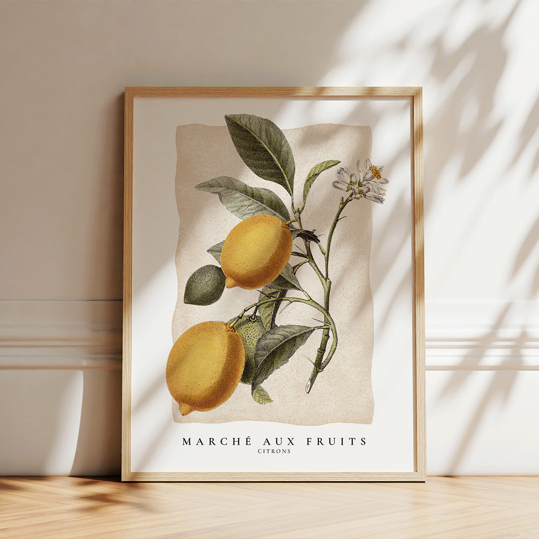 Marché aux Fruits - Citrons