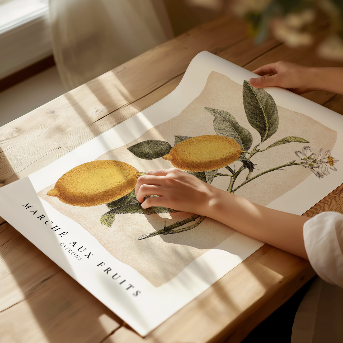 Marché aux Fruits - Citrons