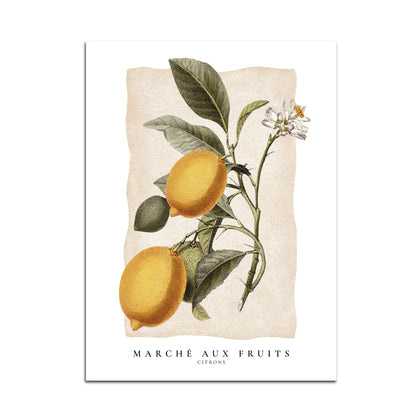 Marché aux Fruits - Citrons
