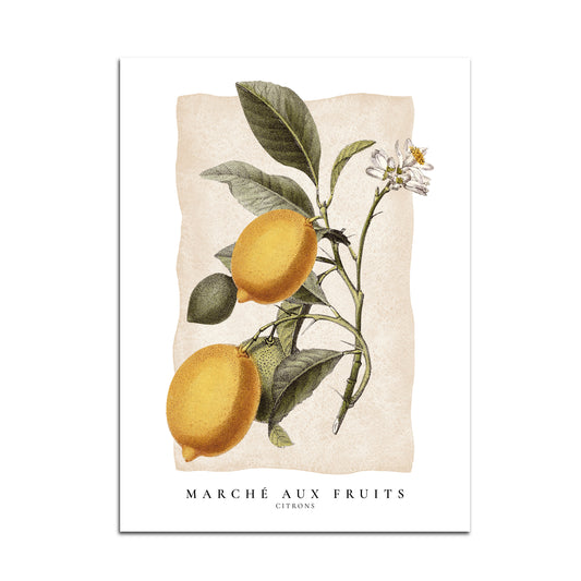 Marché aux Fruits - Citrons