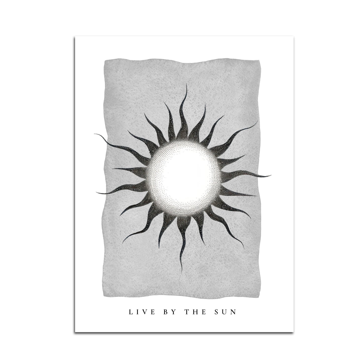 Live by the sun, love by the moon I